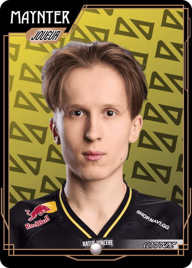 NAVI Maynter