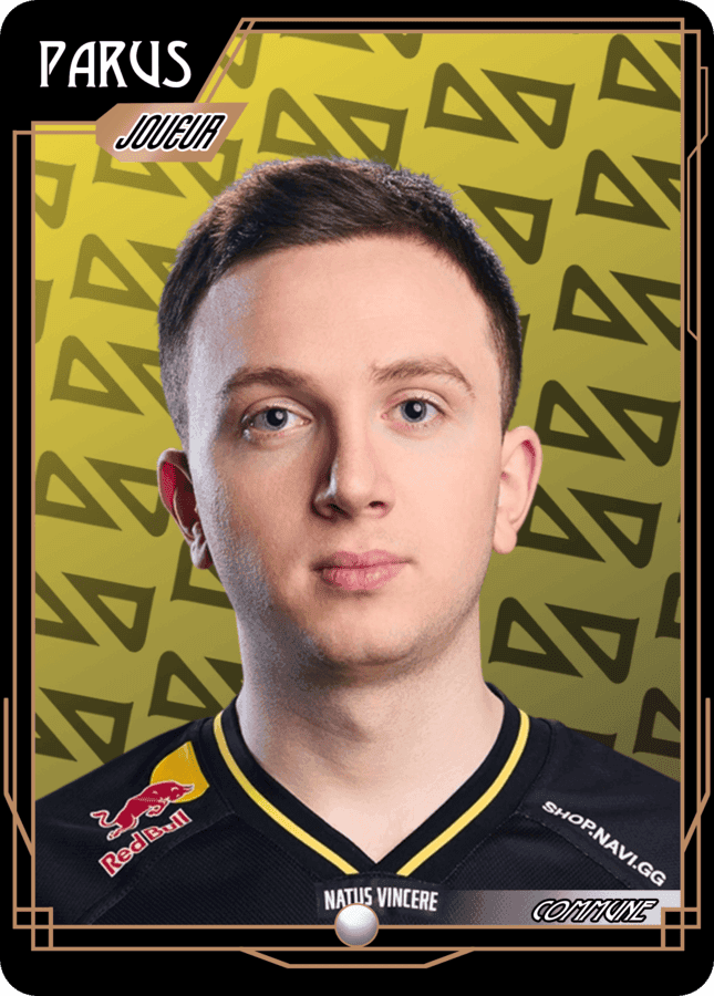NAVI Parus