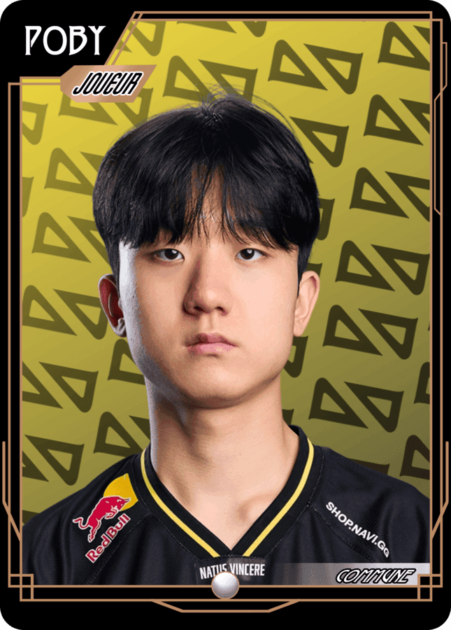 NAVI Poby